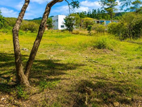 Terreno en Villa Arcadia — foto 2