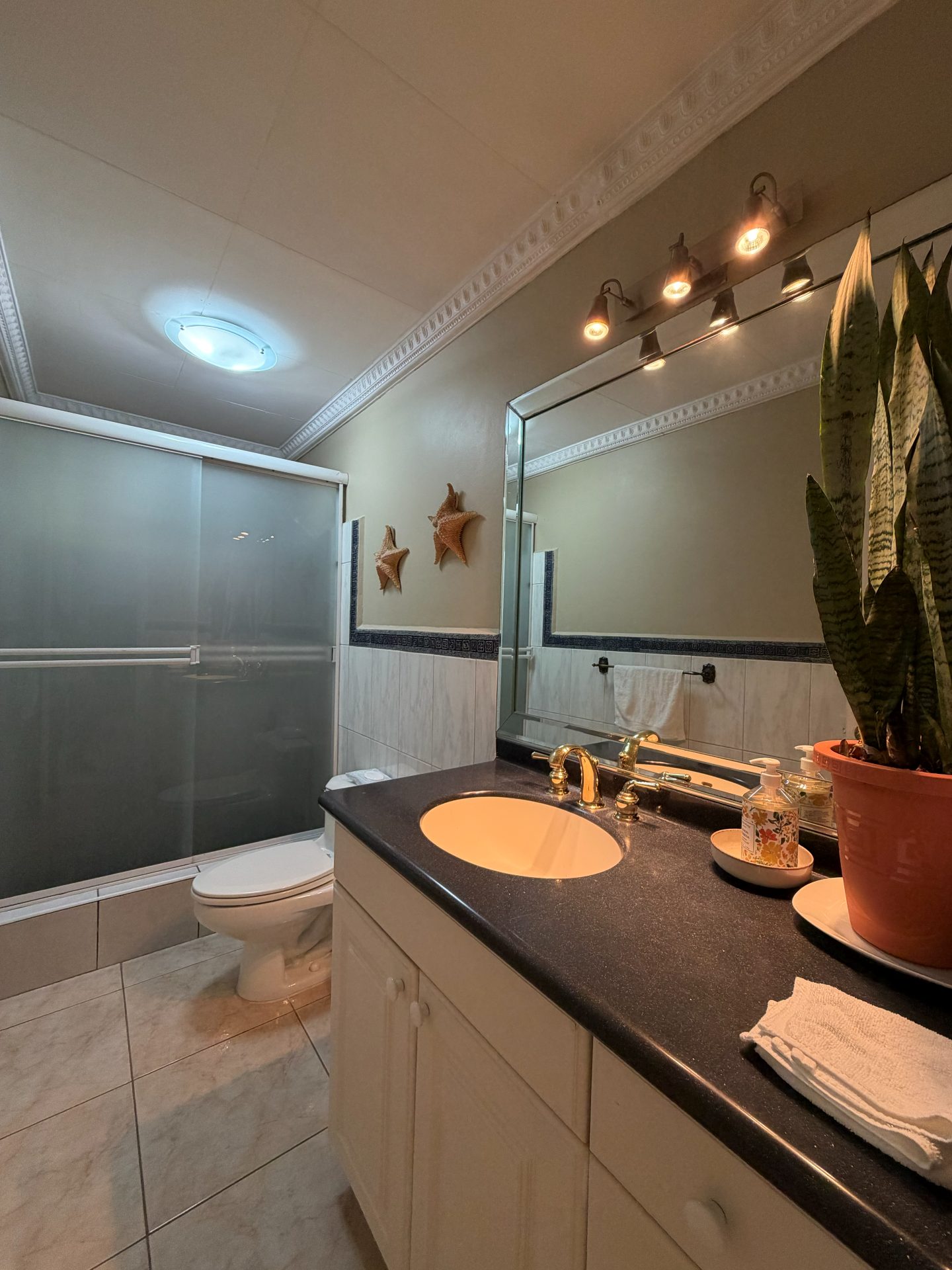 Casa en Lomas del Mayab — foto 8