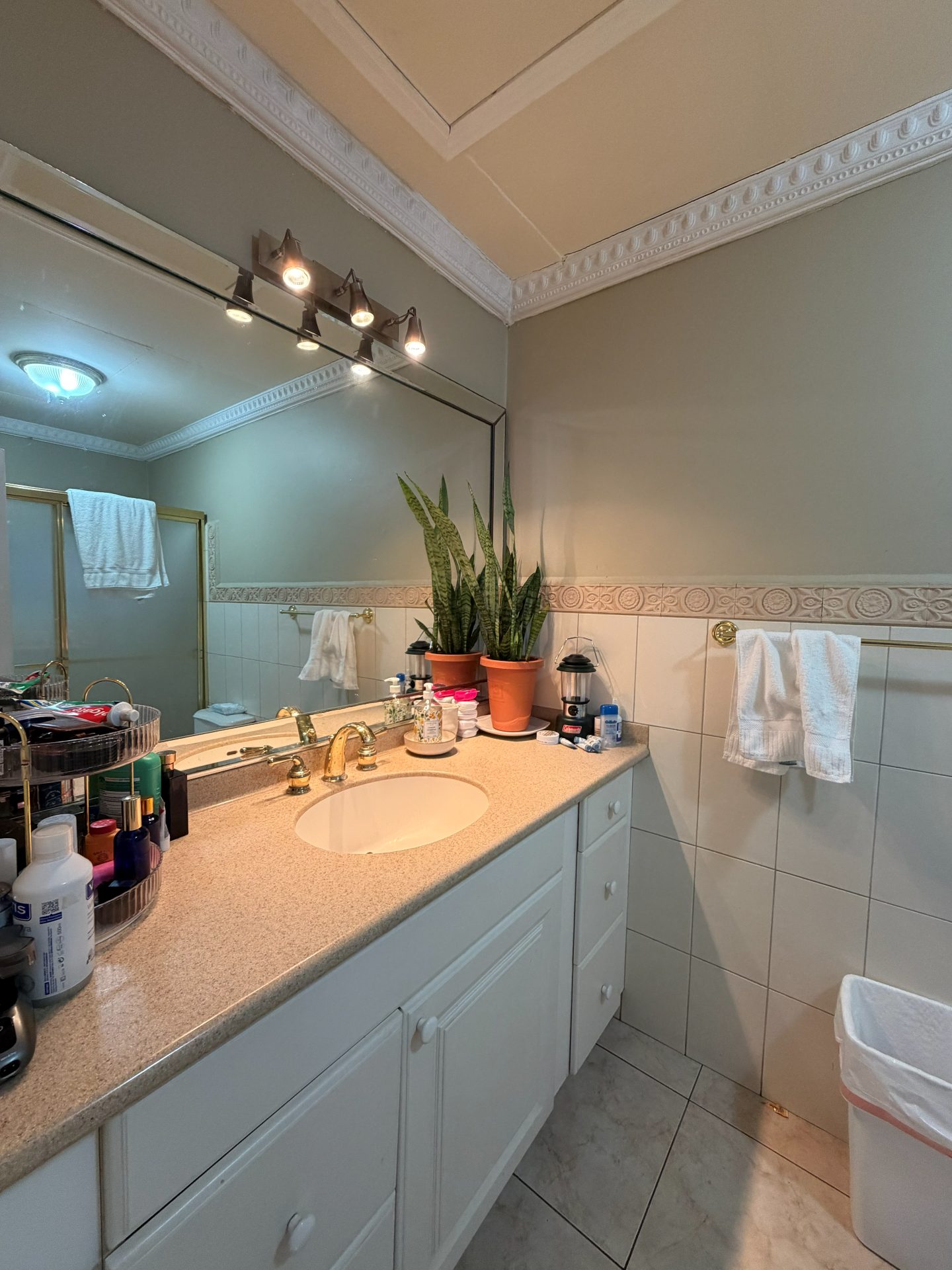 Casa en Lomas del Mayab — foto 12
