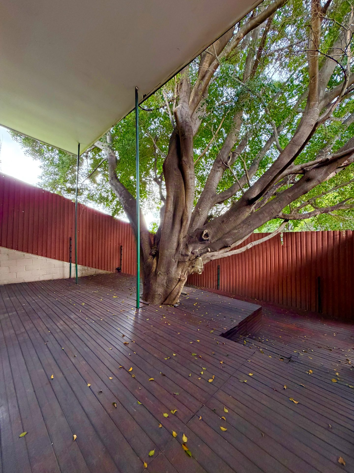 Casa en Lomas del Mayab — foto 25