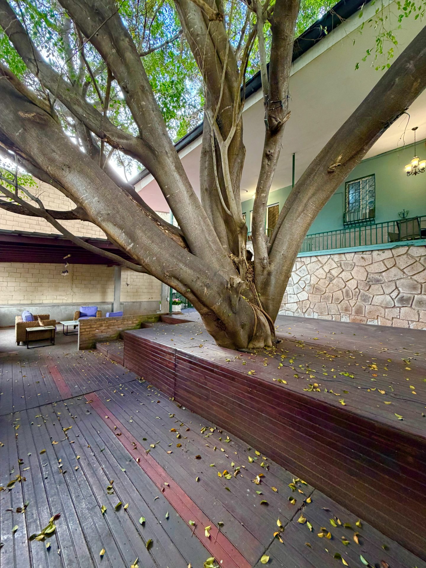 Casa en Lomas del Mayab — foto 27
