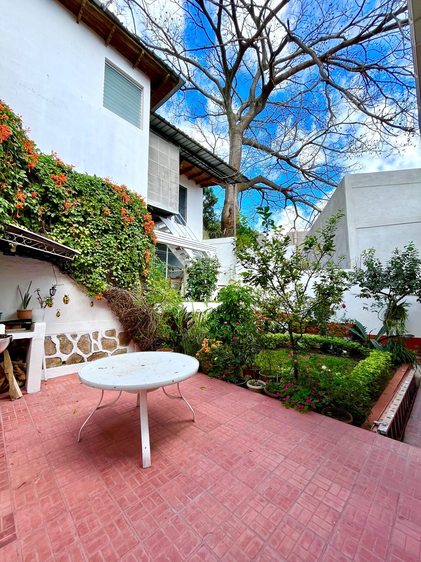 Casa con apartamento en Colonia Interamericana — foto 4