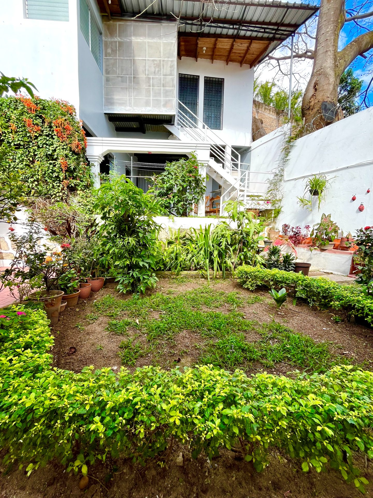 Casa con apartamento en Colonia Interamericana — foto 5