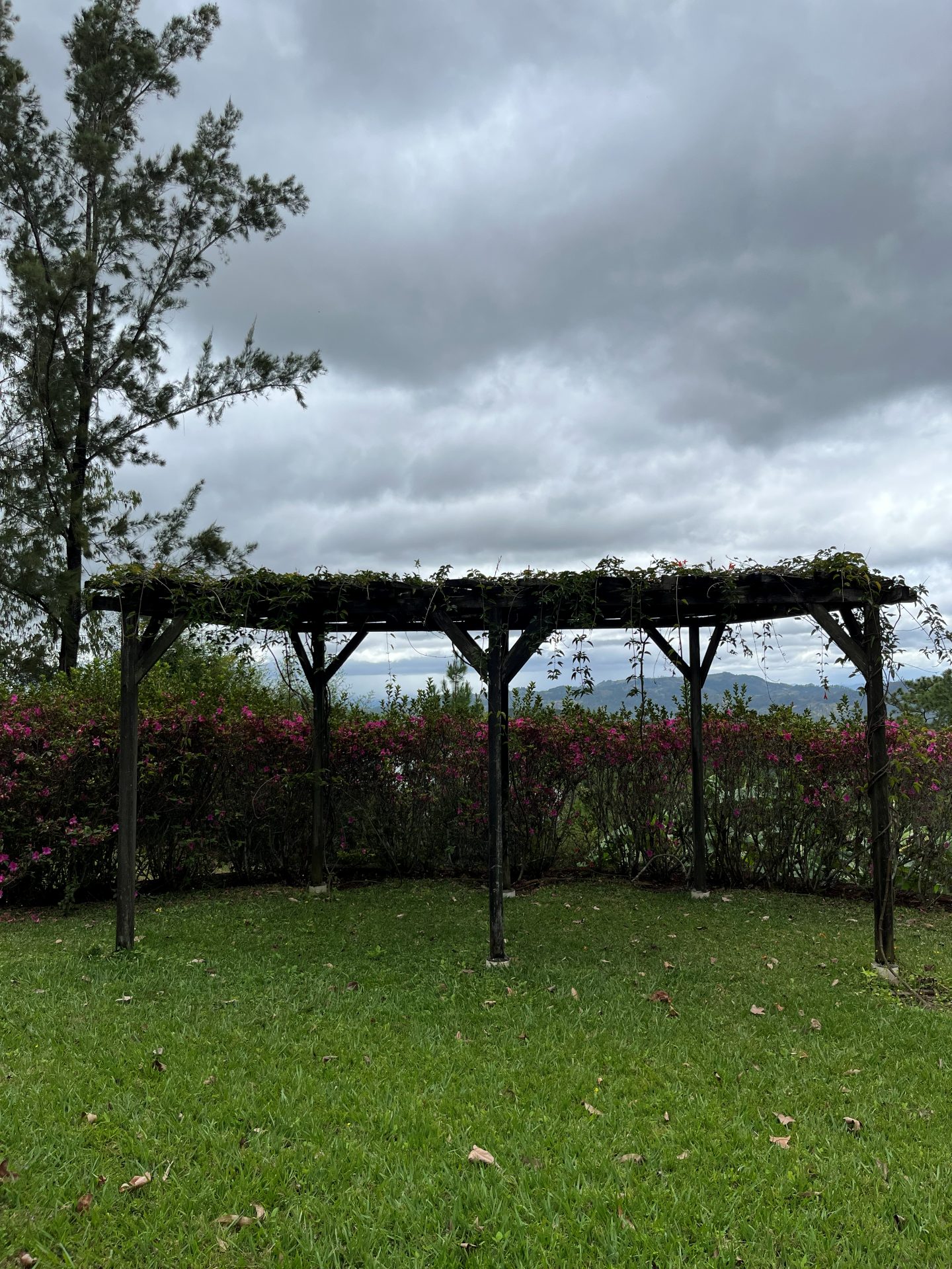 Residencia campestre en Las Cañadas, Valle de Ángeles — foto 15